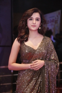 Actress Shirley Setia Saree Pics