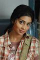 Love 2 Love Telugu Movie Actress Shirya Saran Beautiful Images
