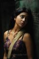 Telugu Actress Shirya Saran Hot Images