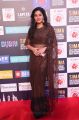 Actress Shivada Nair Saree Pics @ SIIMA Awards 2018 Red Carpet (Day 1)