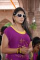 Telugu Actress Shivani Hot Photos at Baja Bhajantrilu Press Meet