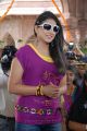 Bhaja Bhajantrilu Movie Actress Shivani Hot Stills
