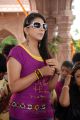 Actress Shivani Hot Stills at Bhaaja Bhajantreelu Press Meet