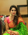 TV Actress Shivani Narayanan Saree Photos