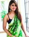 Serial Actress Shivani Narayanan Saree Photos