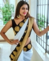 Actress Shivani Narayanan Saree Photos