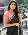 Actress Shivani Narayanan Saree Photos