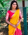 Actress Shivani Narayanan Saree Photos