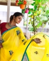 Actress Shivani Narayanan Saree Photos