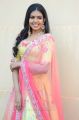 Telugu Actress Shivani Photos @ 2 States Movie Launch