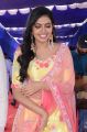 Actress Shivani Rajasekhar Photos @ 2 States Movie Opening