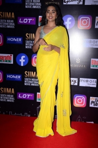 Telugu Actress Shivathmika Rajashekar Yellow Saree Photos