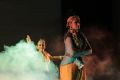 Krishna Dance Performance by Shobana Stills