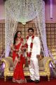 Choreographers Shobi and Lalitha Wedding Reception photos