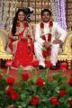 Choreographers Shobi and Lalitha Wedding Reception photos