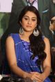 Actress Regina Cassandra @ Shourya Movie Success Meet Stills