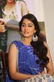 Actress Regina Cassandra @ Shourya Movie Success Meet Stills