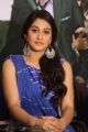 Actress Regina Cassandra @ Shourya Movie Success Meet Stills