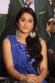 Actress Regina Cassandra @ Shourya Movie Success Meet Stills