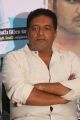 Prakash Raj @ Shourya Movie Success Meet Stills