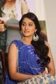 Actress Regina Cassandra @ Shourya Movie Success Meet Stills