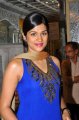 Shraddha Das at Manepally Jewellers launch