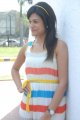 Shraddha Das Cute Stills