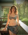 Actress Shraddha Das Glam Hot Photoshoot Pictures
