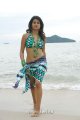 Shraddha Das Hot Bikini Beach Pics