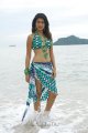 Shraddha Das Hot Bikini Beach Pics