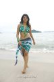 Shraddha Das Hot Bikini Beach Pics