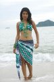 Shraddha Das Hot Bikini Beach Pics