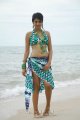 Shraddha Das Hot Bikini Beach Pics