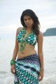 Shraddha Das Hot Bikini Beach Pics