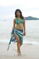 Shraddha Das Hot Bikini Beach Pics