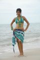 Shraddha Das Hot Bikini Beach Pics