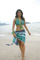 Shraddha Das Hot Bikini Beach Pics