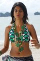 Shraddha Das Hot Bikini Beach Pics