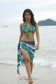 Shraddha Das Hot Bikini Beach Pics