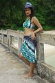 Shraddha Das Hot Bikini Beach Pics