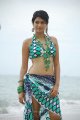 Shraddha Das Hot Bikini Beach Pics