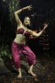 Nankam Pirai Heroine Shraddha Das New Hot Pics