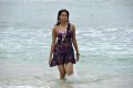 Shraddha Das Hot in Violet Skirt