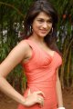 Shraddha Das Hot Photo Shoot Stills