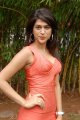 Shraddha Das Hot Photo Shoot Stills