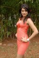 Shraddha Das Hot Photo Shoot Stills