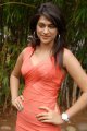 Shraddha Das Hot Photo Shoot Stills