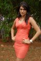 Shraddha Das Hot Photo Shoot Stills