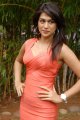 Shraddha Das Hot Photo Shoot Stills