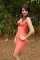 Shraddha Das Hot Photo Shoot Stills